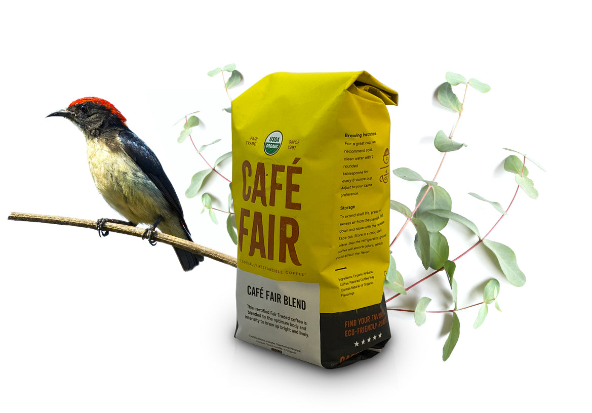 Bird and Coffee bag